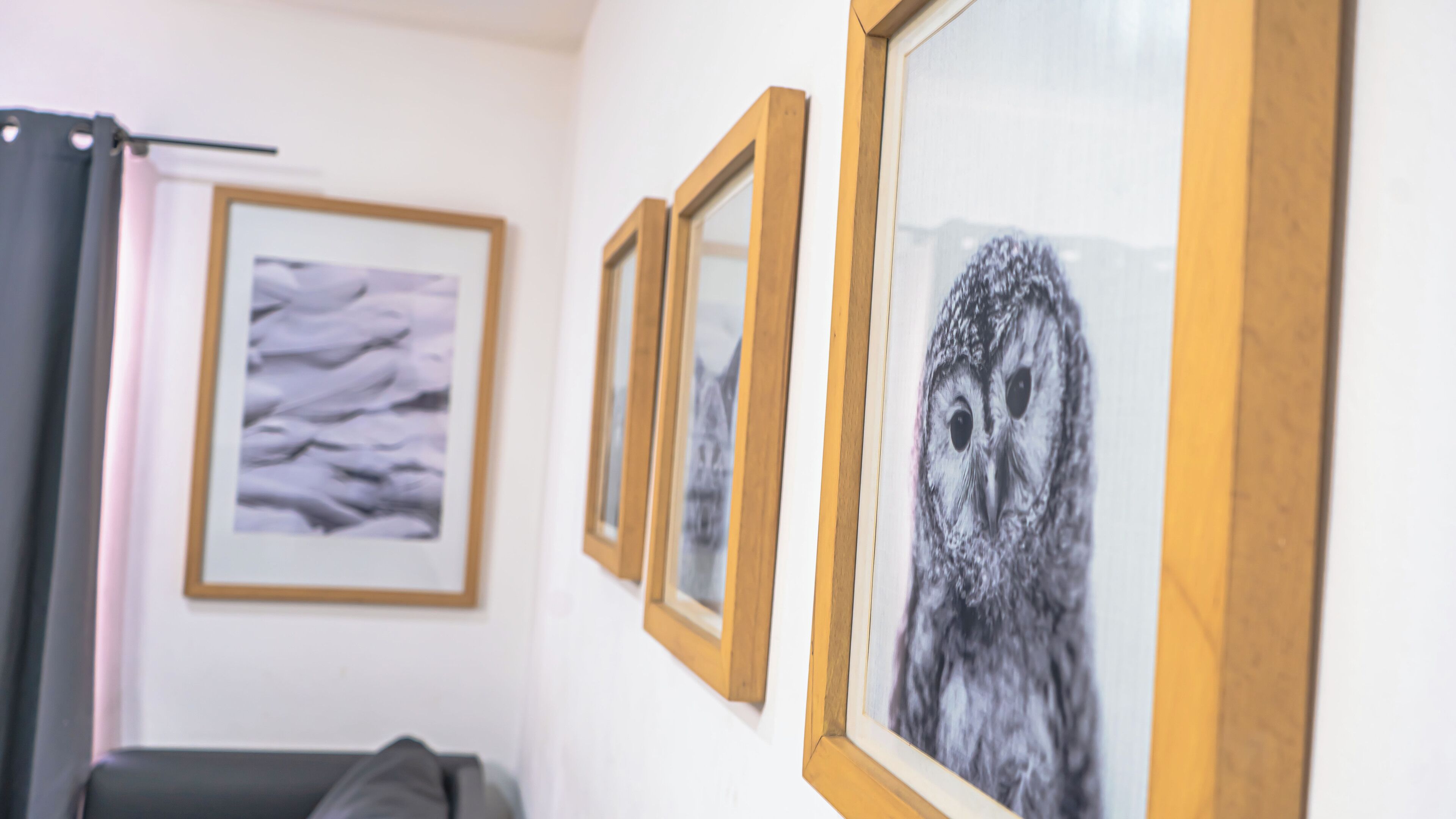 Framed artwork on a wall, a bed, and a curtain.
