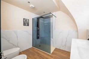 Shower, hair dryer, bidet, towels