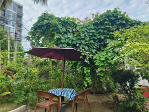 Garden - Samuu HomeStay (Mirissa)