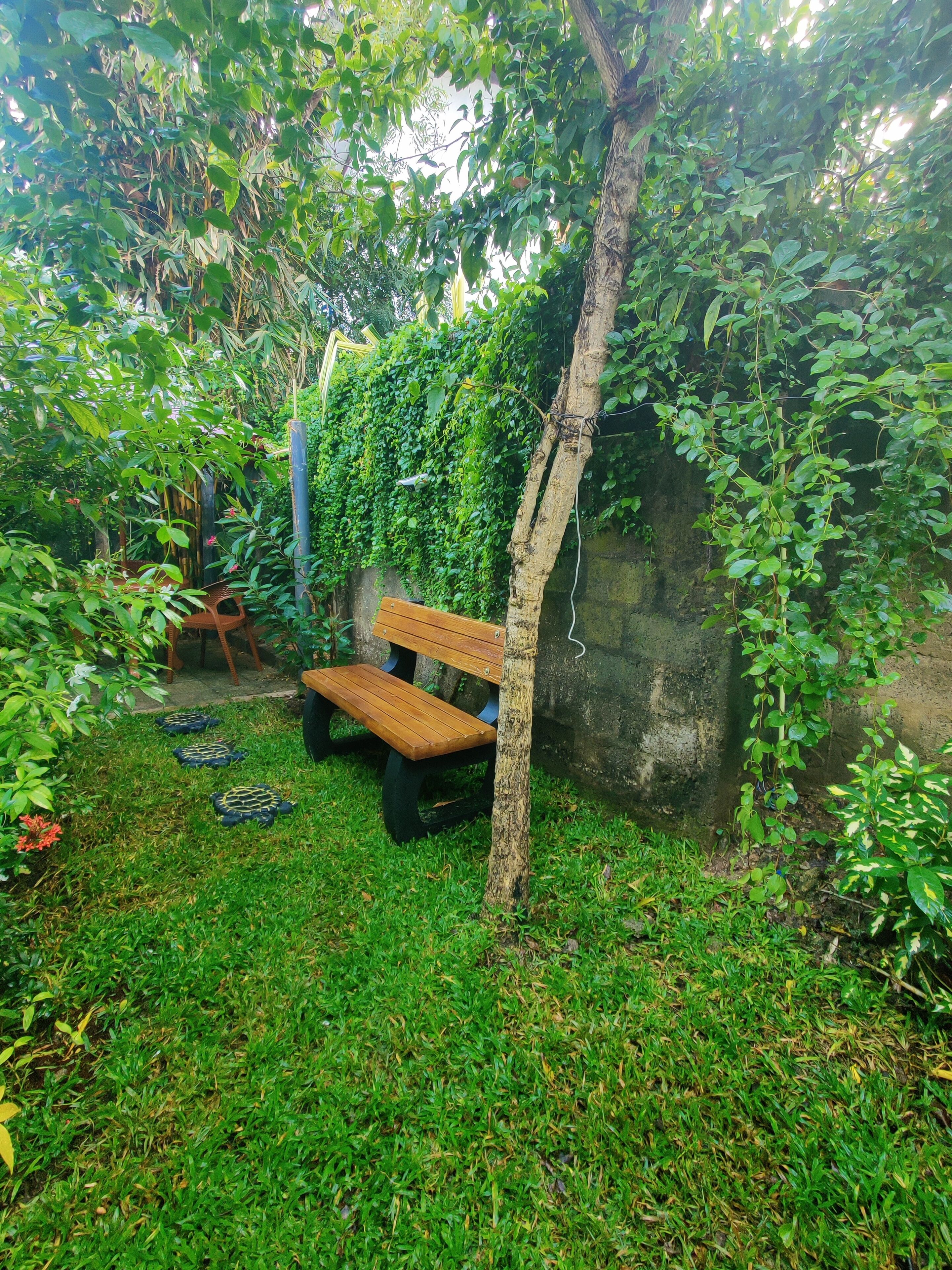 ห้องคอมฟอร์ทดับเบิล, วิวสวน | วิวสวน