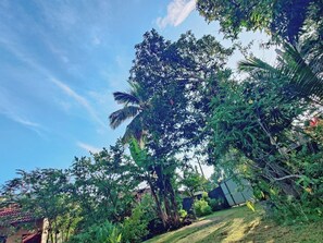 Garden - Samuu HomeStay (Mirissa)