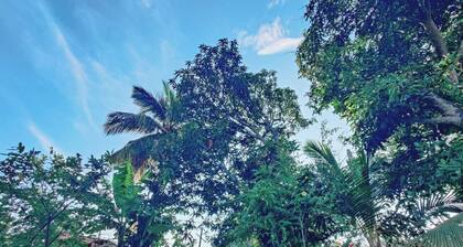 Samuu HomeStay