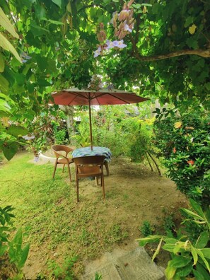 Garden - Samuu HomeStay (Mirissa)