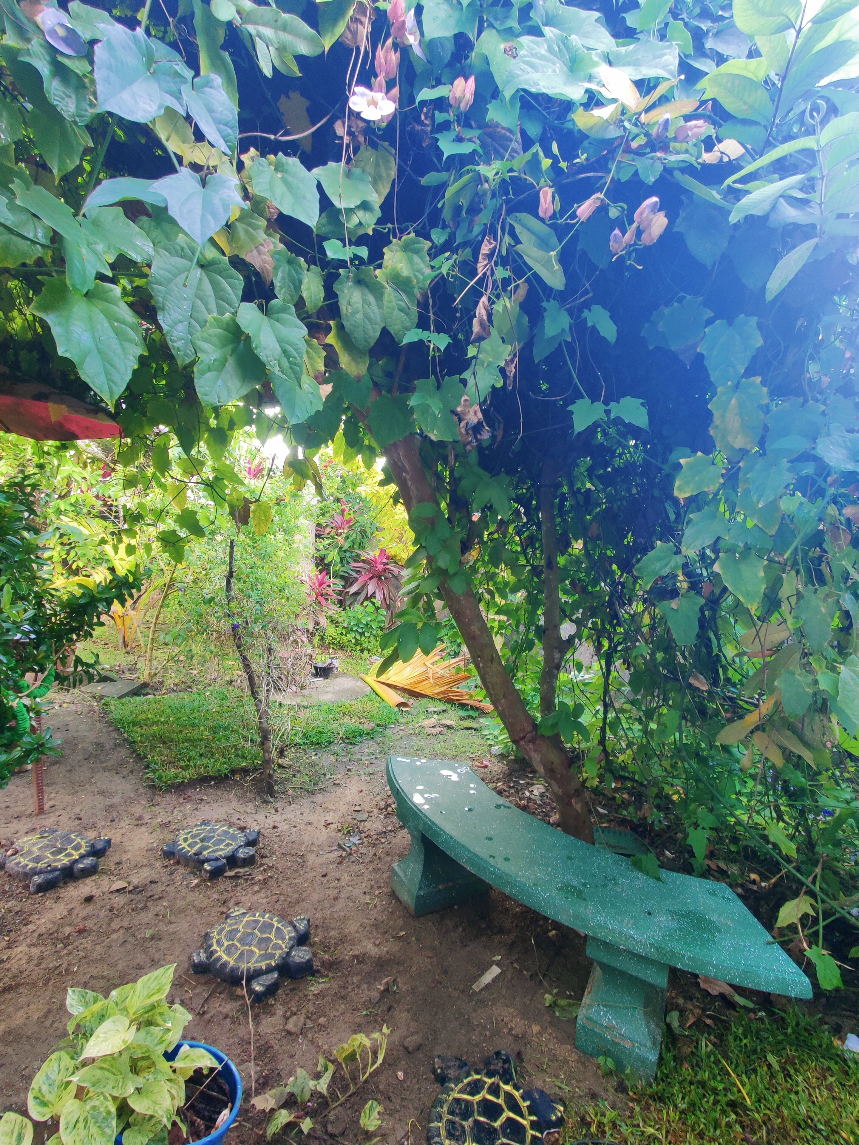 Taman