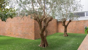 A courtyard with two trees and a brick wall. - Private Garden - Deluxe Family Apartment (Porto)