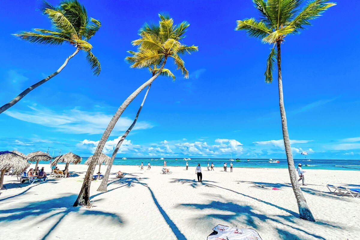 A beach with palm trees, a sandy shore, and a clear blue sky.