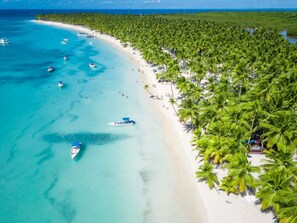 Une plage aux eaux turquoise et limpides, un rivage sablonneux et une rangée dense de palmiers.