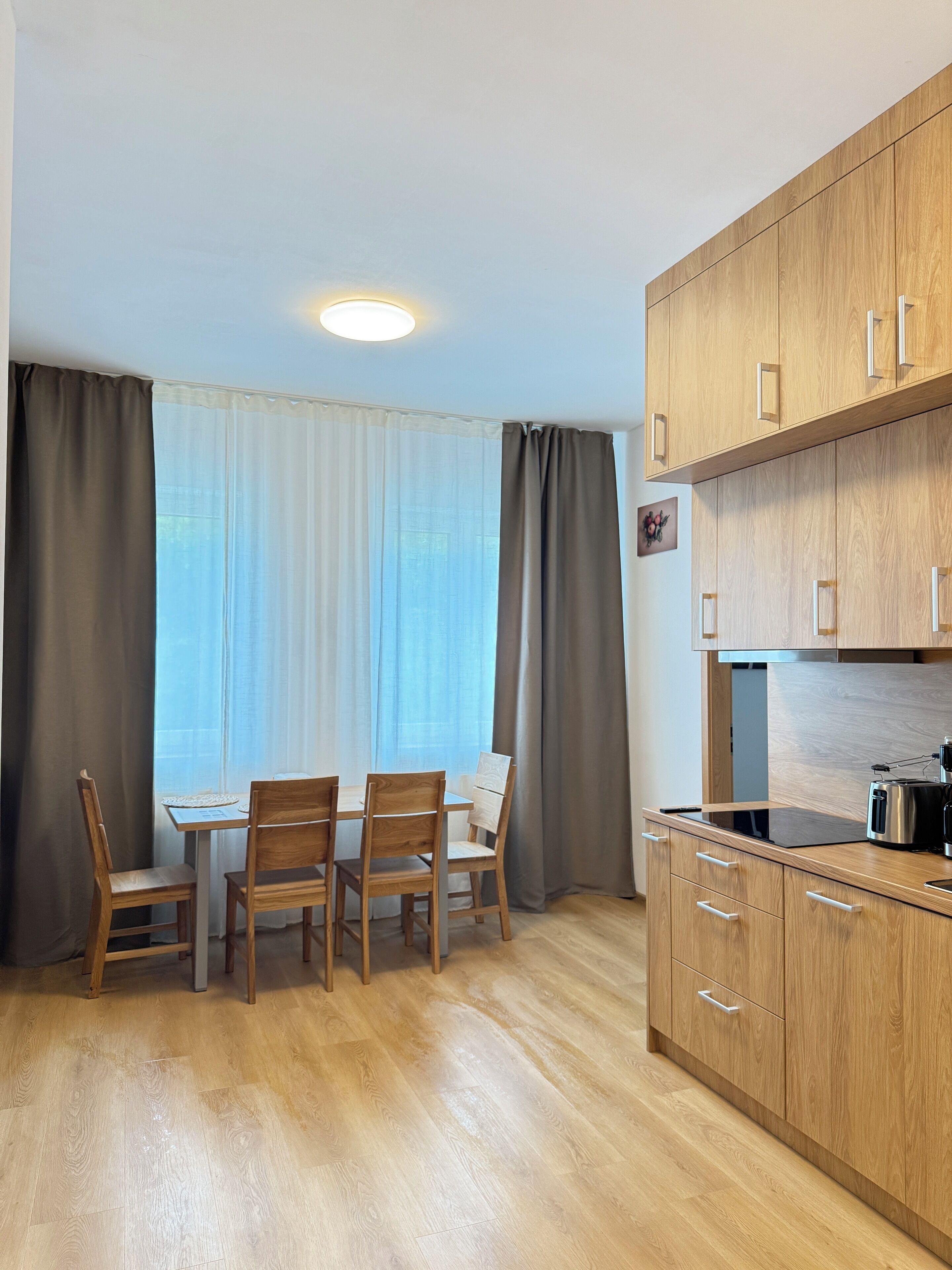 Deluxe Apartment | Blackout drapes, iron/ironing board, free WiFi, bed sheets
