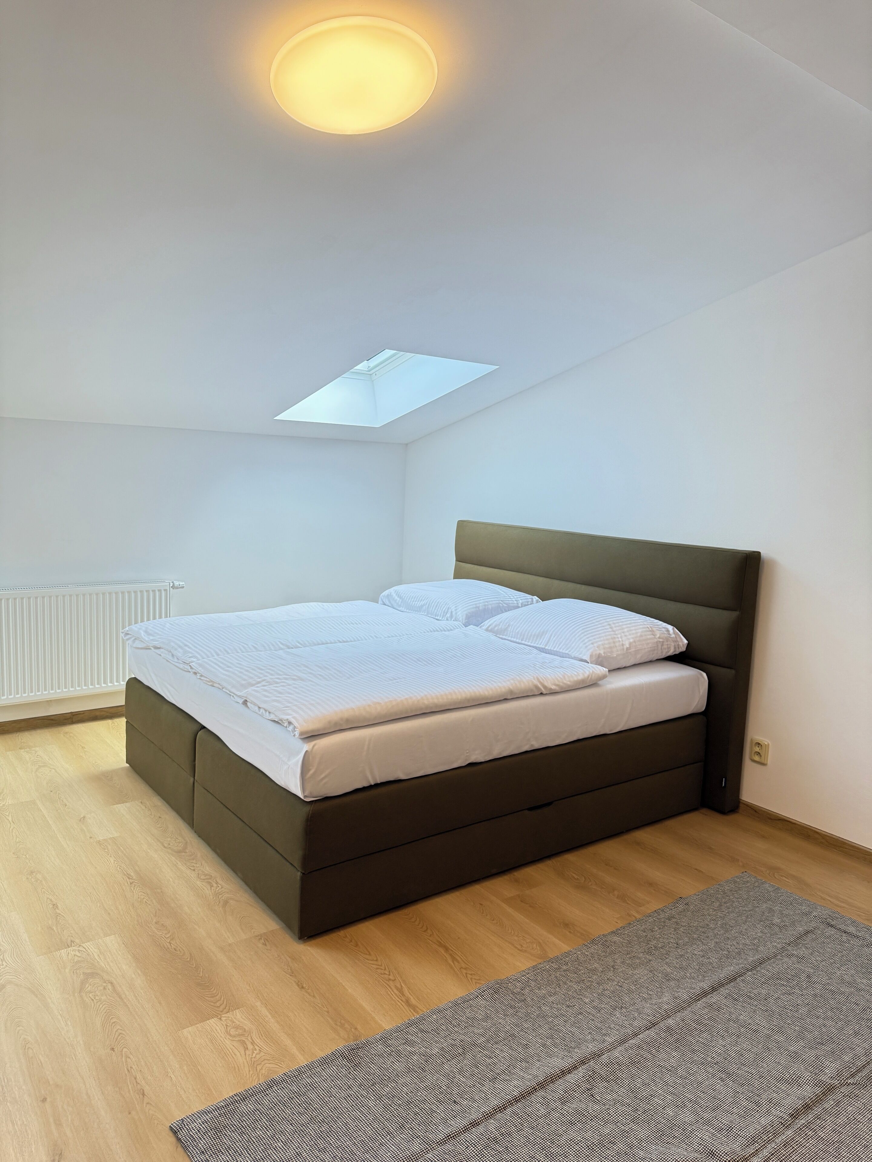 A bedroom with a bed, a skylight, and a radiator.