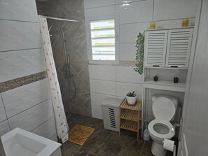 Ducha, secador de pelo y toallas
