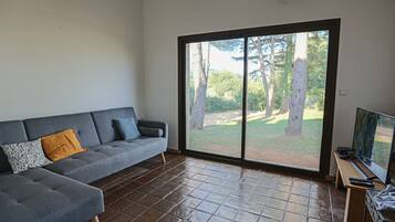 Una televisión, una chimenea