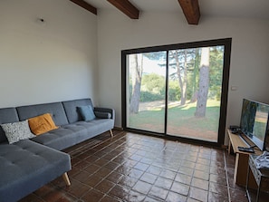 Télévision, cheminée