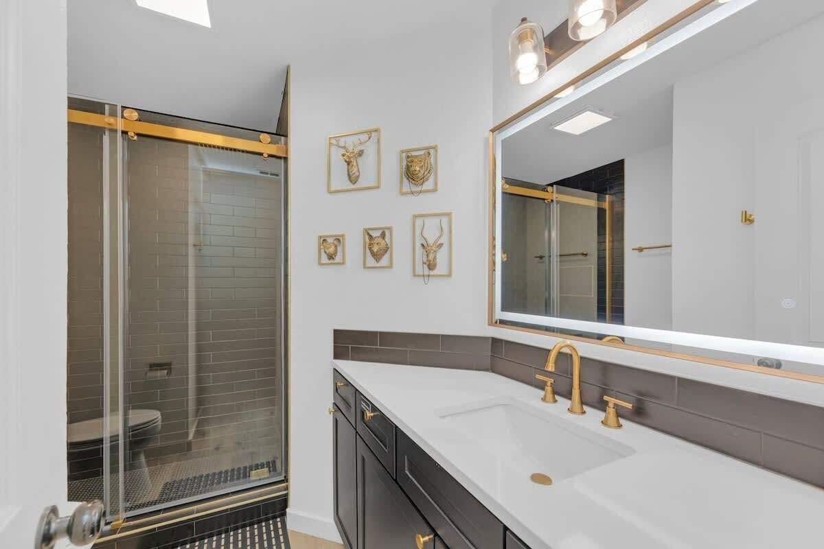 Shower, hair dryer