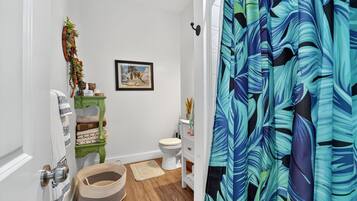 Hair dryer, towels, soap, shampoo