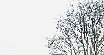 Peaceful Gaen - Ty Serene with a Hillside Haven with Rustic Charm & Valley Views