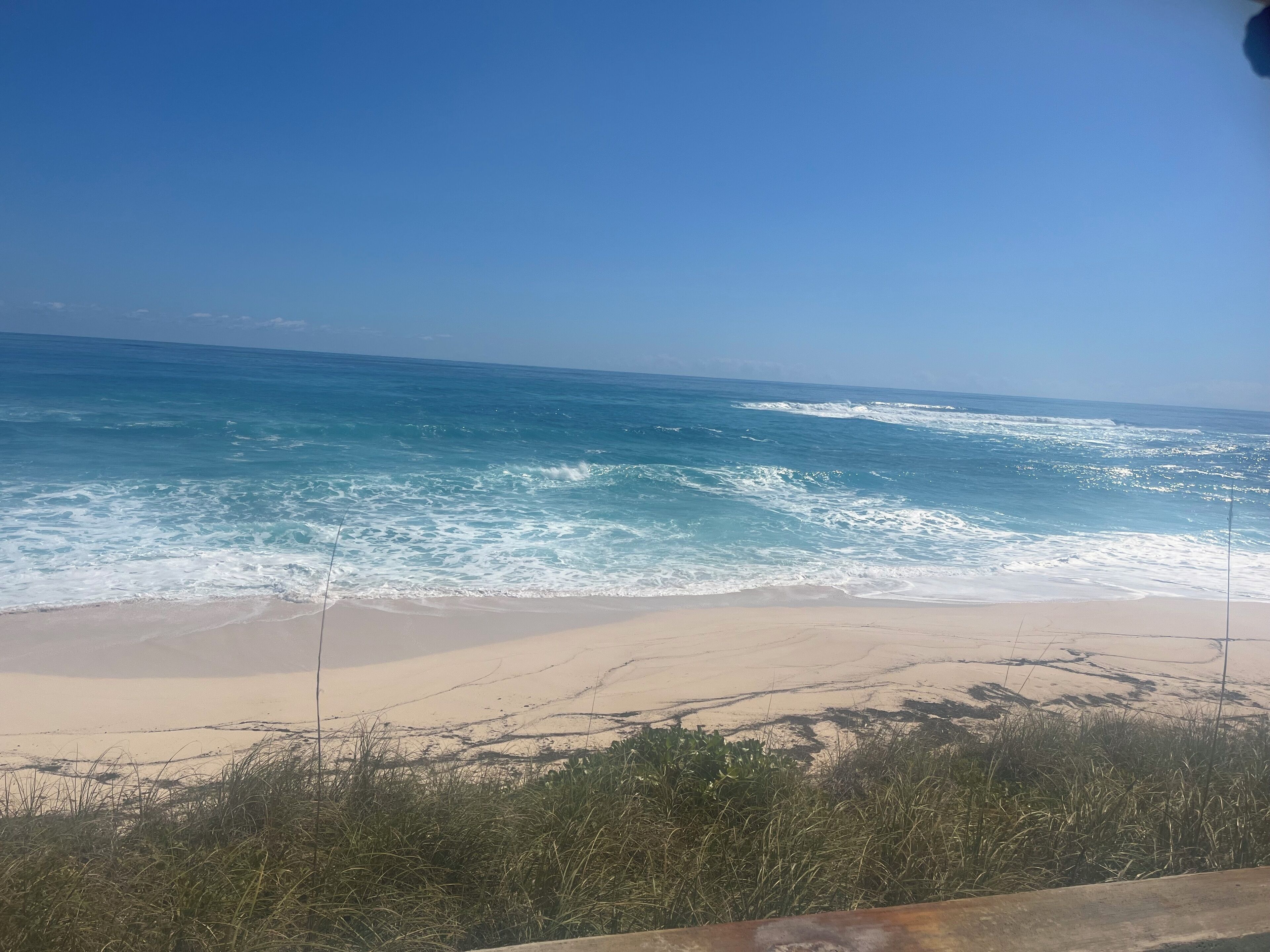 Ein Strand mit Wellen, blauem Himmel und etwas Vegetation im Vordergrund.