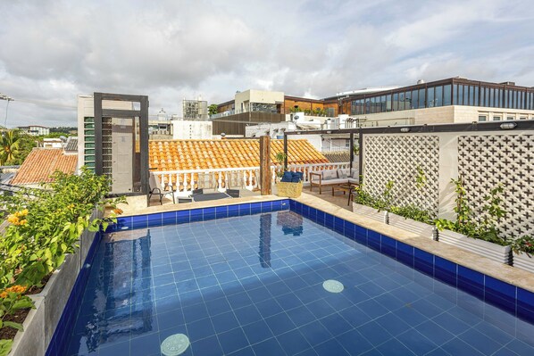 A rooftop swimming pool with blue tiles, surrounded by a low wall and plants.