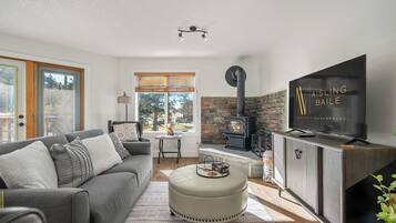 TV, fireplace, video games