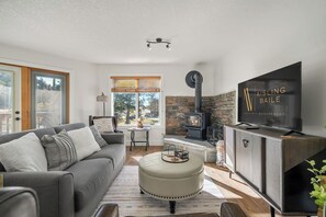 TV, fireplace, video games