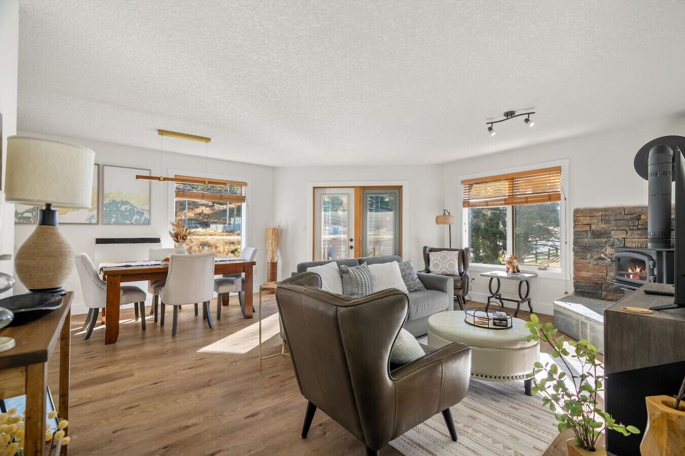 TV, fireplace, video games