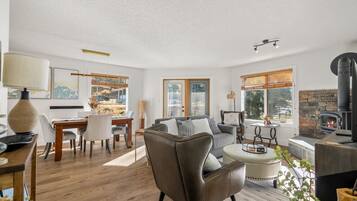 TV, fireplace, video games