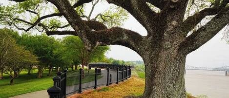 Enceinte de l’hébergement