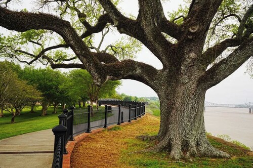 Natchez Nest at Callie’s Cottage – Cozy Private Room in Historic District