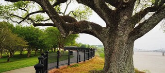 Natchez Nest at Callie’s Cottage – Cozy Private Room in Historic District