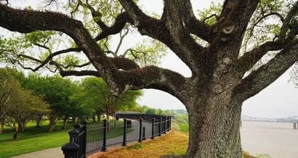Natchez Nest at Callieâs Cottage â Cozy Private Room in Historic District