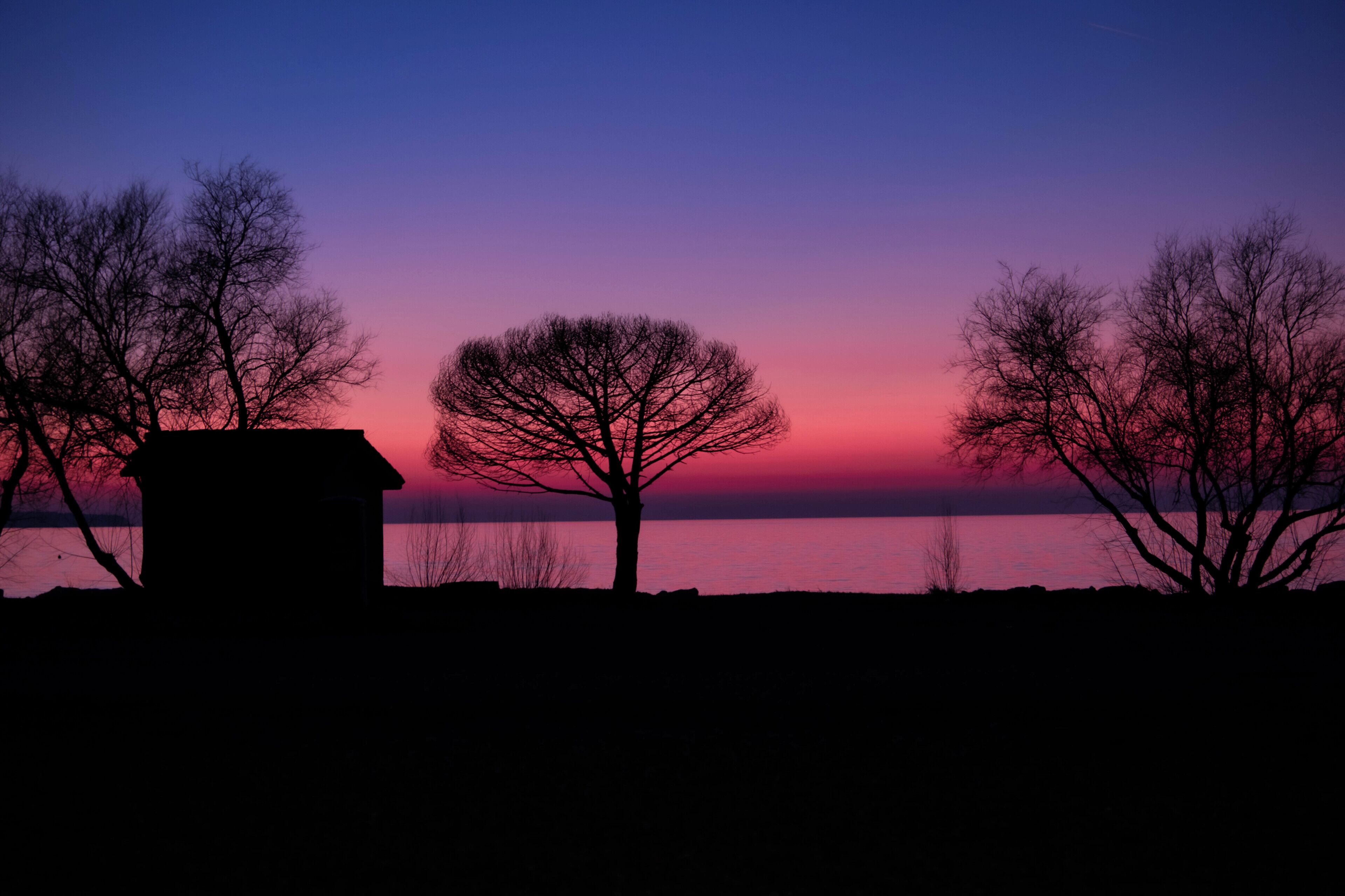 A silhouette of a building with a tree in the foreground and a sunset in the background.