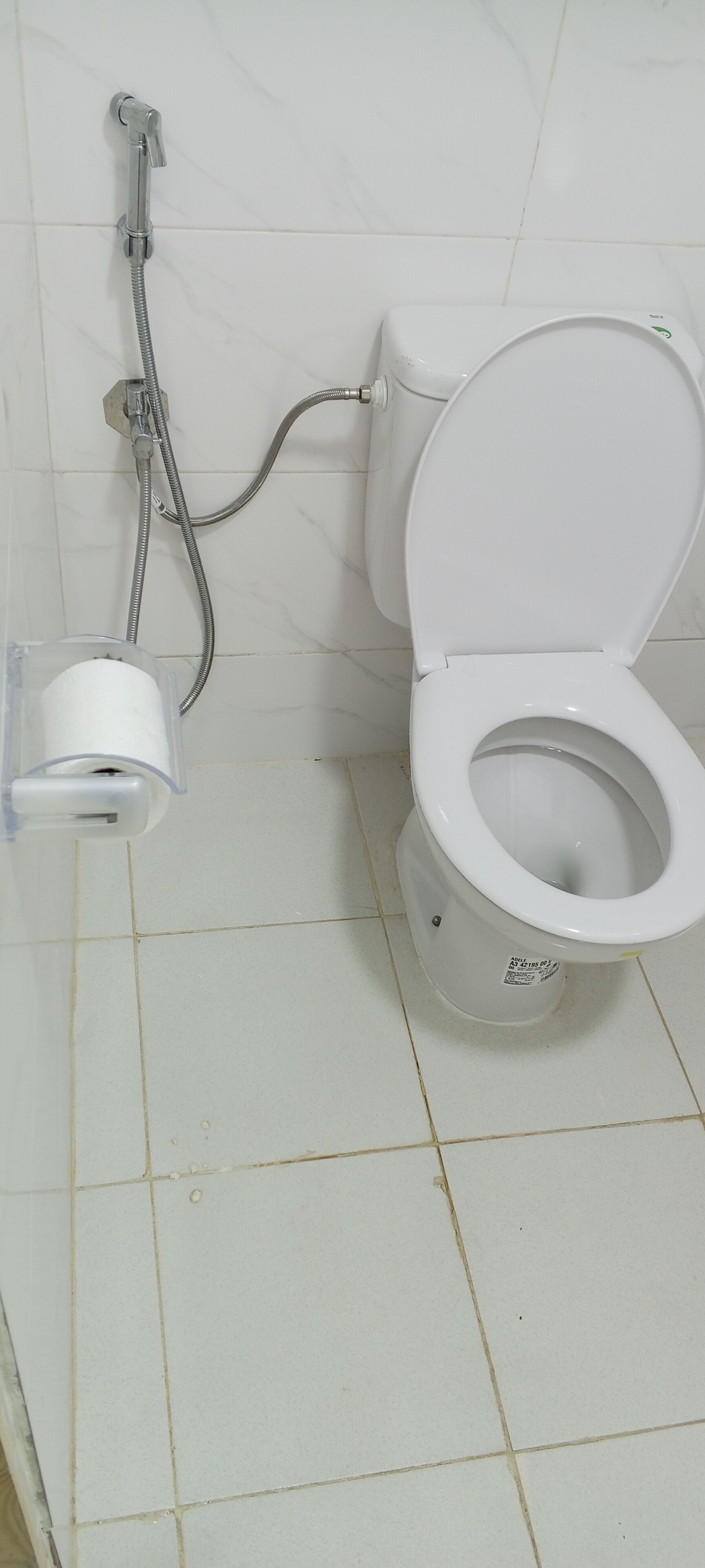 Sanitário com chuveiro, rolo de papel higiénico e botão de descarga na parede.