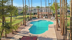 A residential area with a swimming pool, surrounded by tall palm trees and a row of houses. - Rare 4 Bedroom Townhome with Backyard in Tempe (Tempe)
