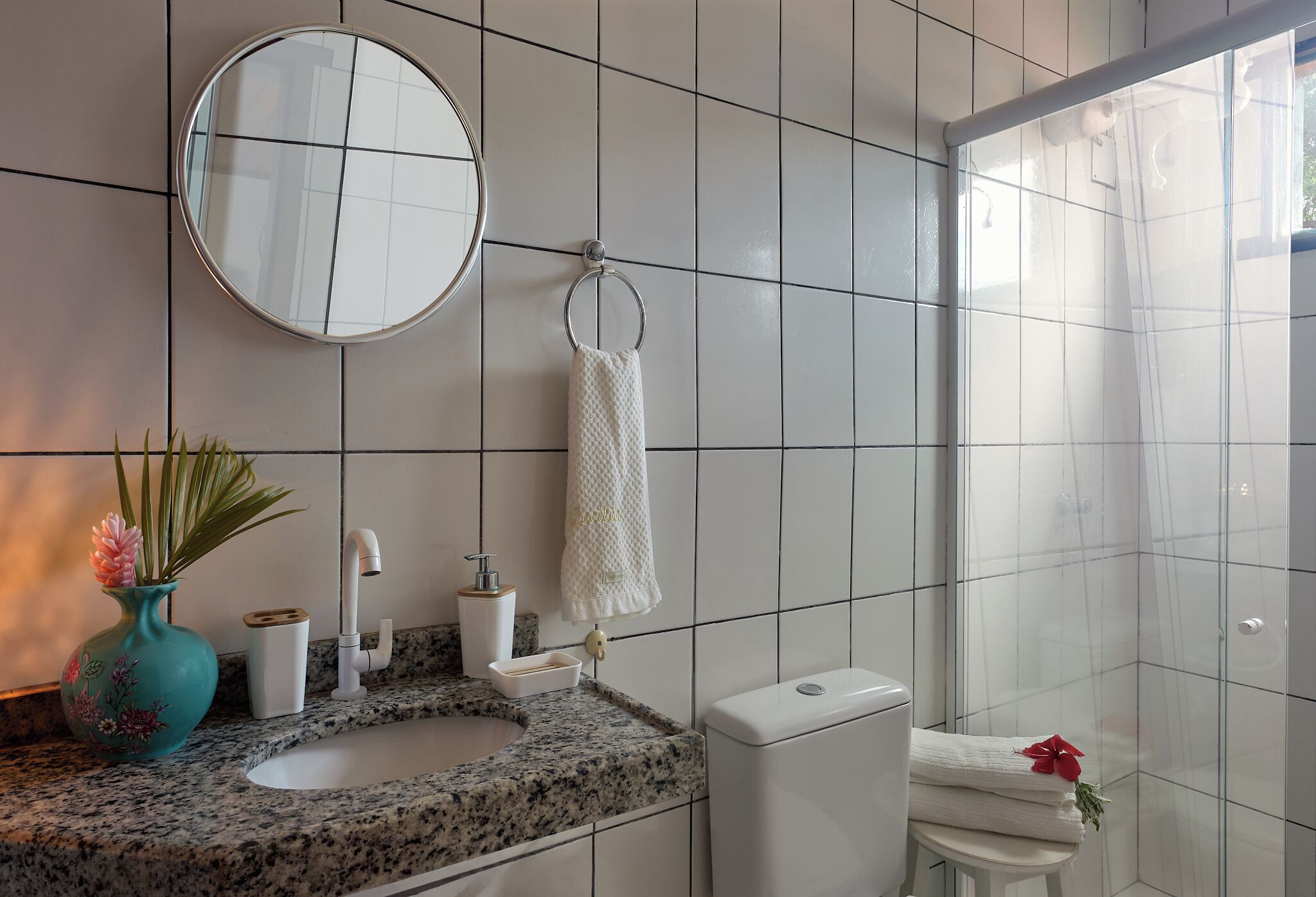 Chuveiro, toalhas de banho, papel higiênico 