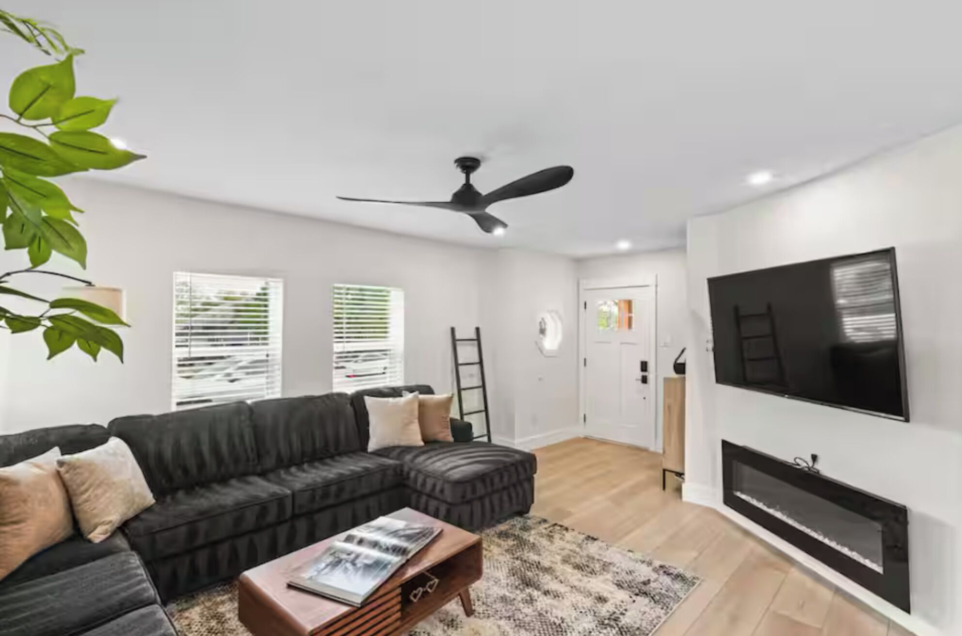 TV, fireplace