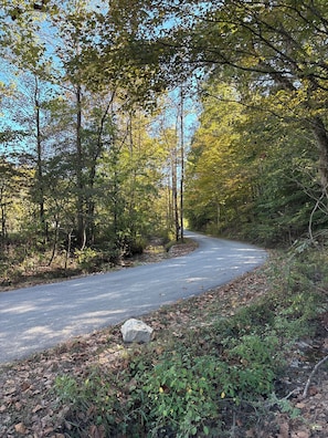 Miscellaneous - Glamping with your fur babies by Red River Gorge and Natural Bridge. (Stanton)