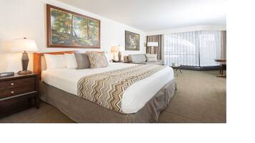 2 slaapkamers, een strijkplank/strijkijzer, wifi, beddengoed