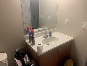 Serviettes fournies, shampoing, papier toilette