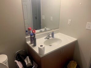 Serviettes fournies, shampoing, papier toilette