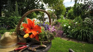 Un cesto di vimini con fiori e attrezzi da giardinaggio su un'area erbosa.
