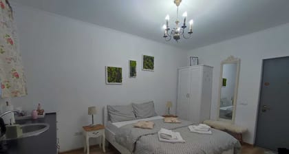 Cosy 1-bedroom apartment in Sibiu