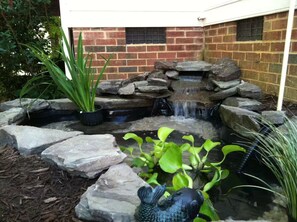 المنطقة المحيطة بالمنشأة