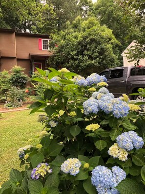 Overnattingsstedets uteområder