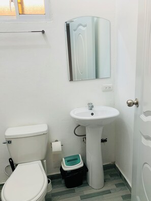 Secador de cabelo, toalhas de banho, sabonete, papel higiênico