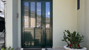 A green door with a glass panel, a stone planter with cacti and red flowers, and a metal railing to the left. - 1 bedroom gorgeous apartment in Duce (Duce)