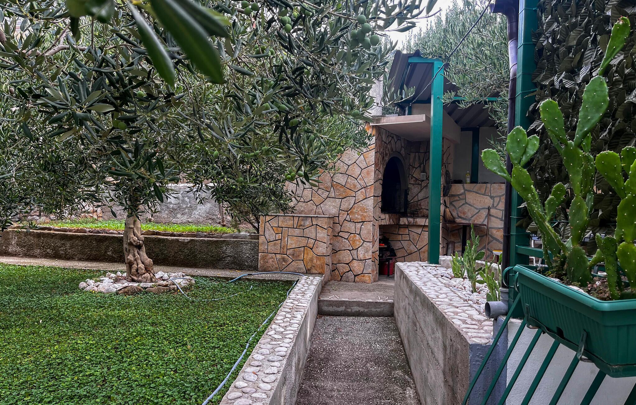A stone-built outdoor area with a grill, surrounded by olive trees and cacti.