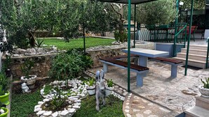 A patio area with stone flooring, outdoor seating, and various plants. - 1 bedroom gorgeous apartment in Duce (Duce)