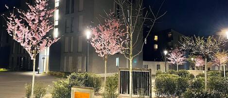 Terrain de lâhĂ©bergement