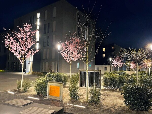 المنطقة المحيطة بالمنشأة