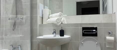 A modern bathroom with a glass-enclosed shower, a sink, a toilet, and a mirror.