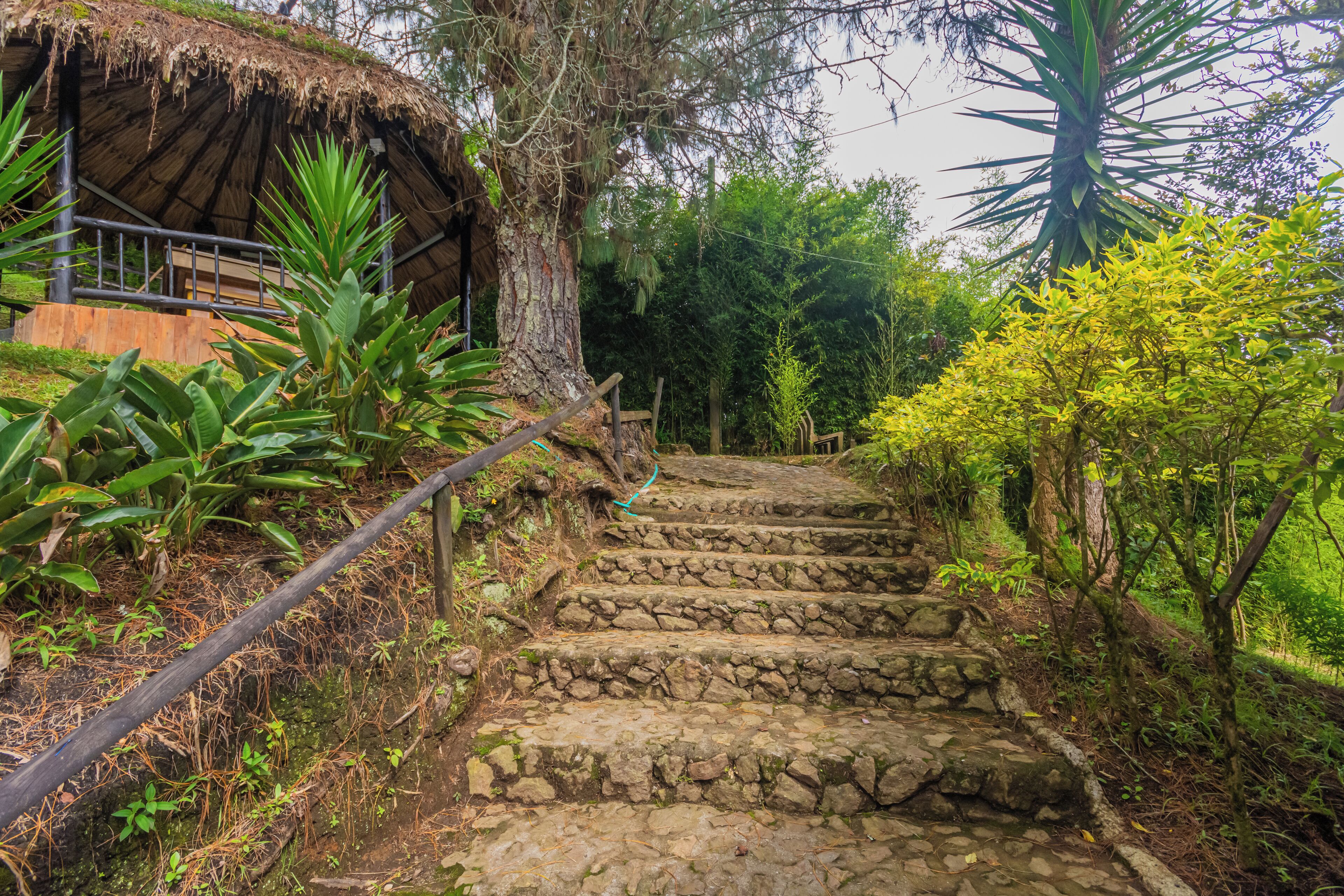 2 piscinas al aire libre